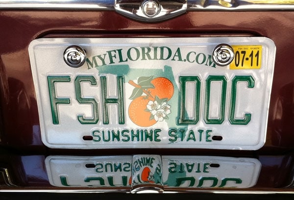 Reader License Plates