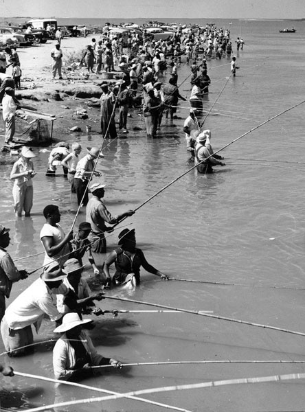 70 Years of SWS