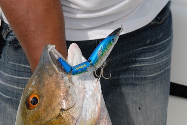 Panama's Islas Secas