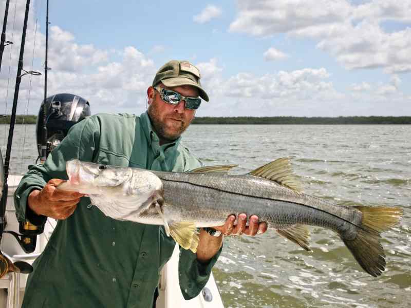 Key Largo has it all, variety and abundance
