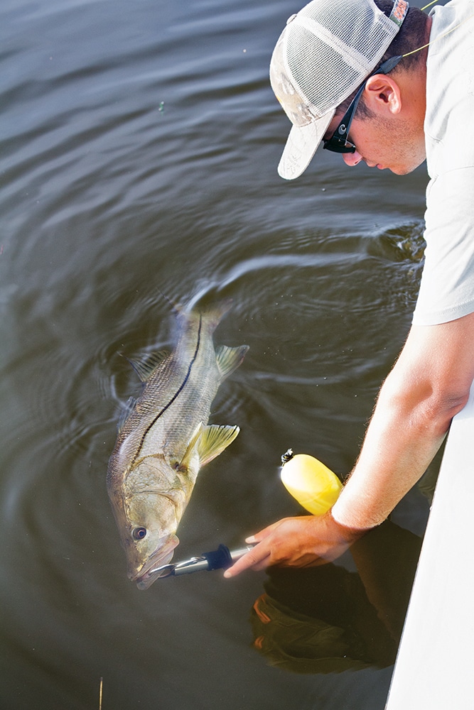 Snook fishing in Florida