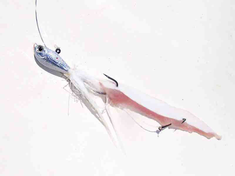 flounder north south tactics flatfish how-to