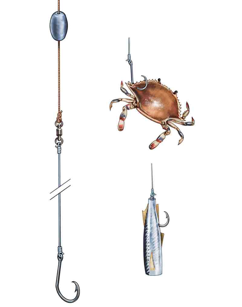 Boost your bottom fishing score with outriggers