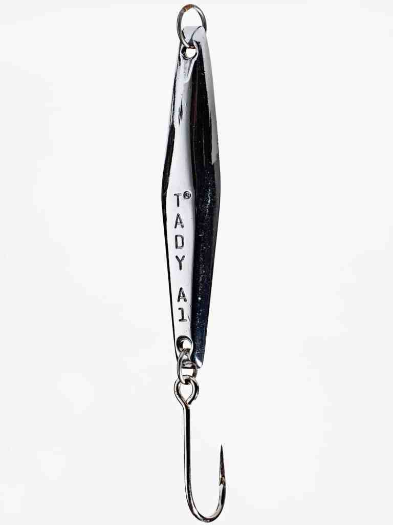 Blacksea sea bass find metal jigs irresistible.