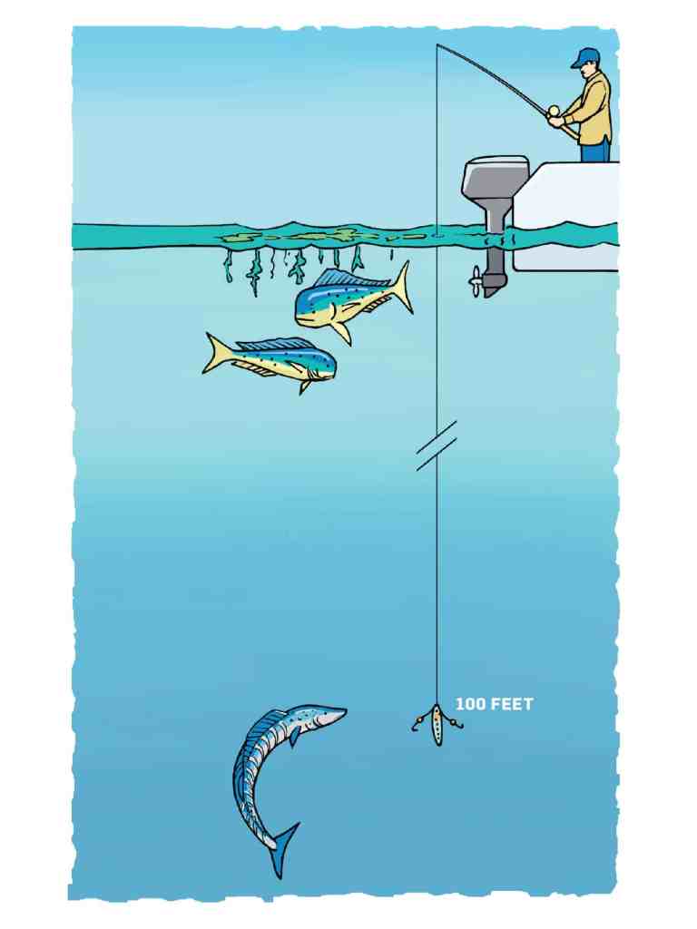 How to catch wahoo