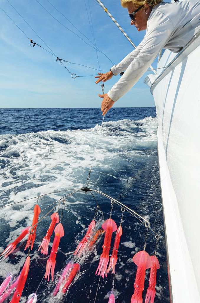 Plastic squid on a dredge