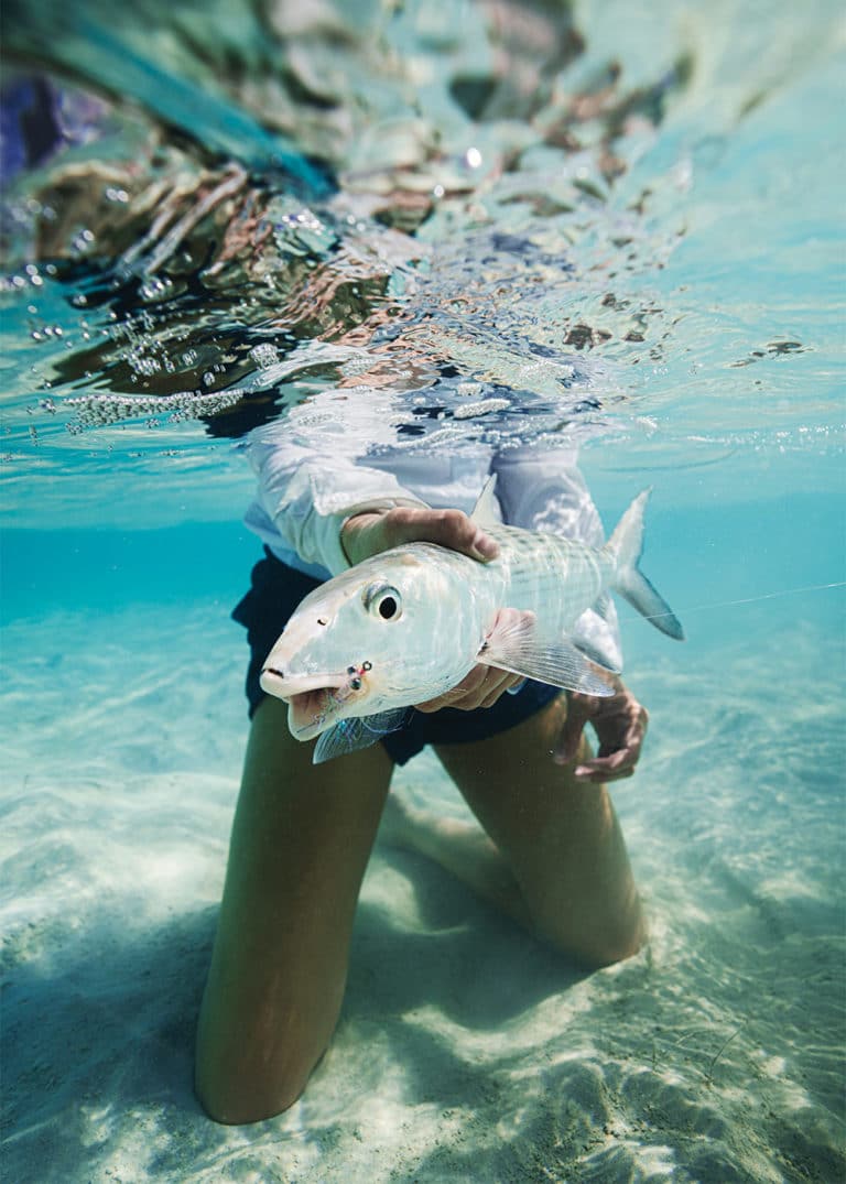 Nice bonefish caught in the Bahamas