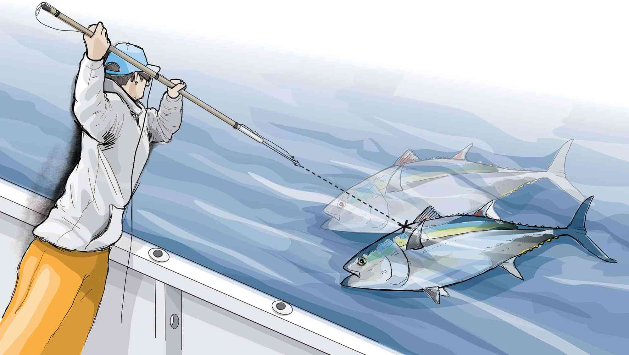 Harpoon Versus Gaff