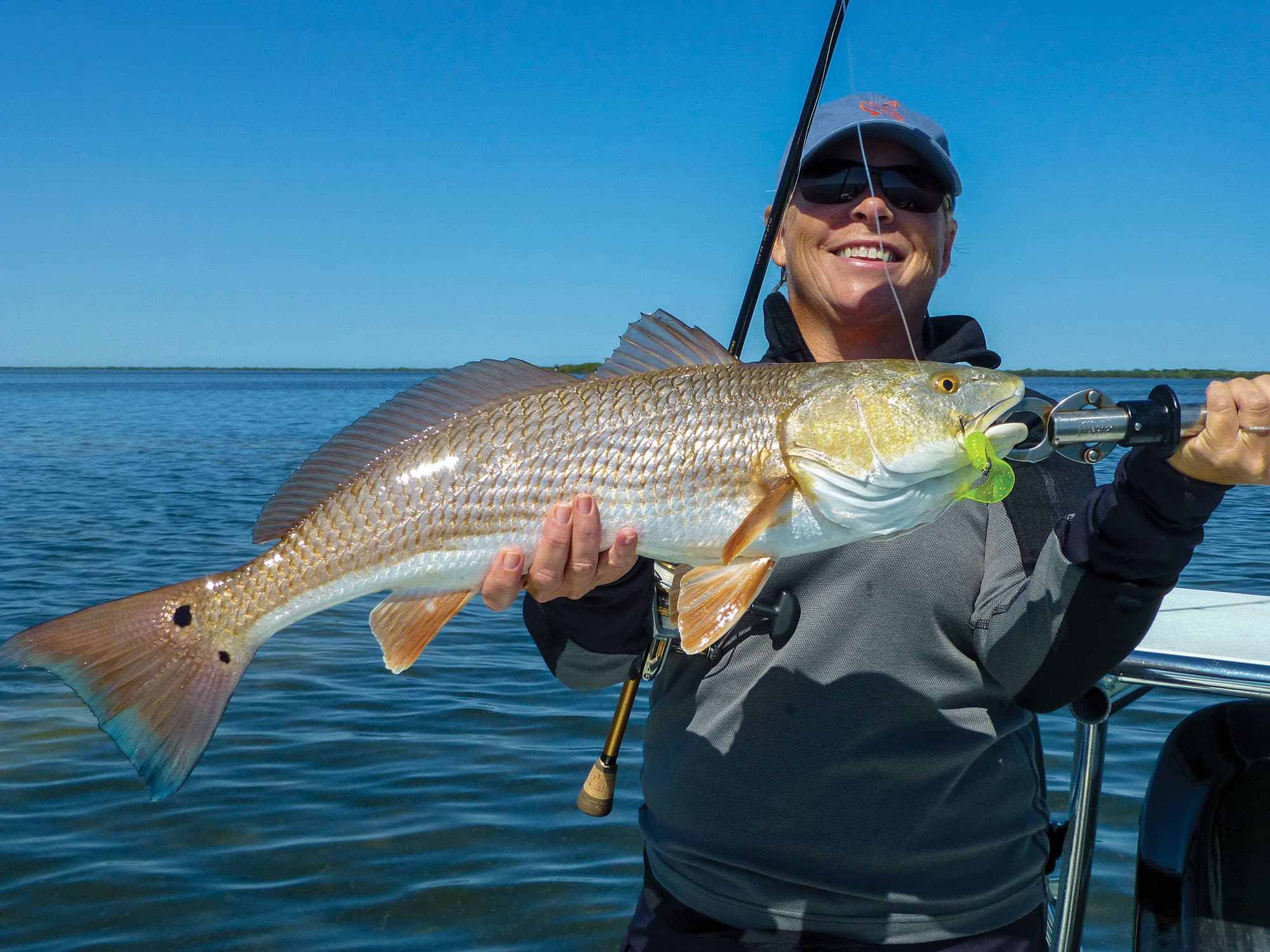 Red Fish Limit Current Redfish Regulations | Salt Water Sportsman