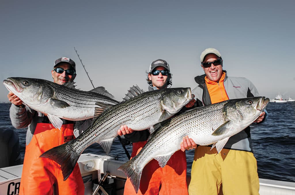 Holding up trophy striped bass