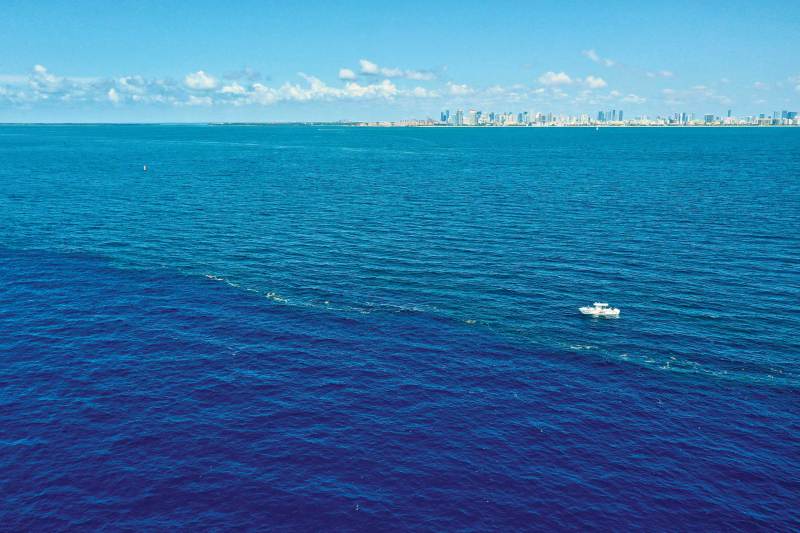 Flotsam lines offer cover for bait and fish