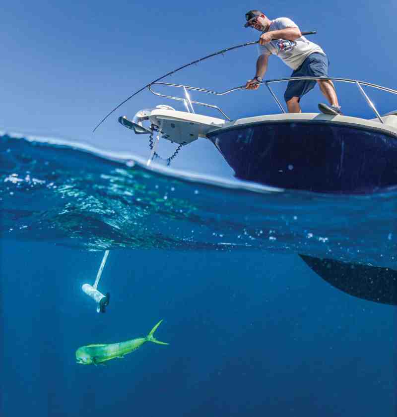 Chasing mahi using a trolling motor
