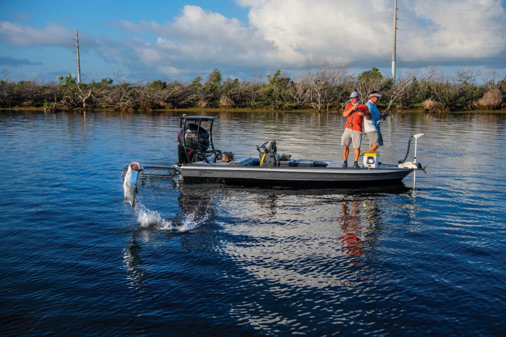 Anglers catching tarpon in Estero Bay