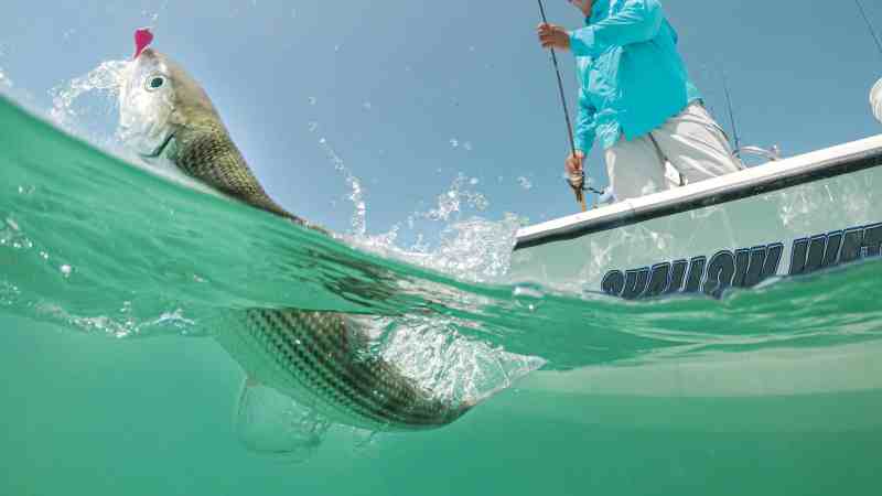 Bonefish caught using a jig