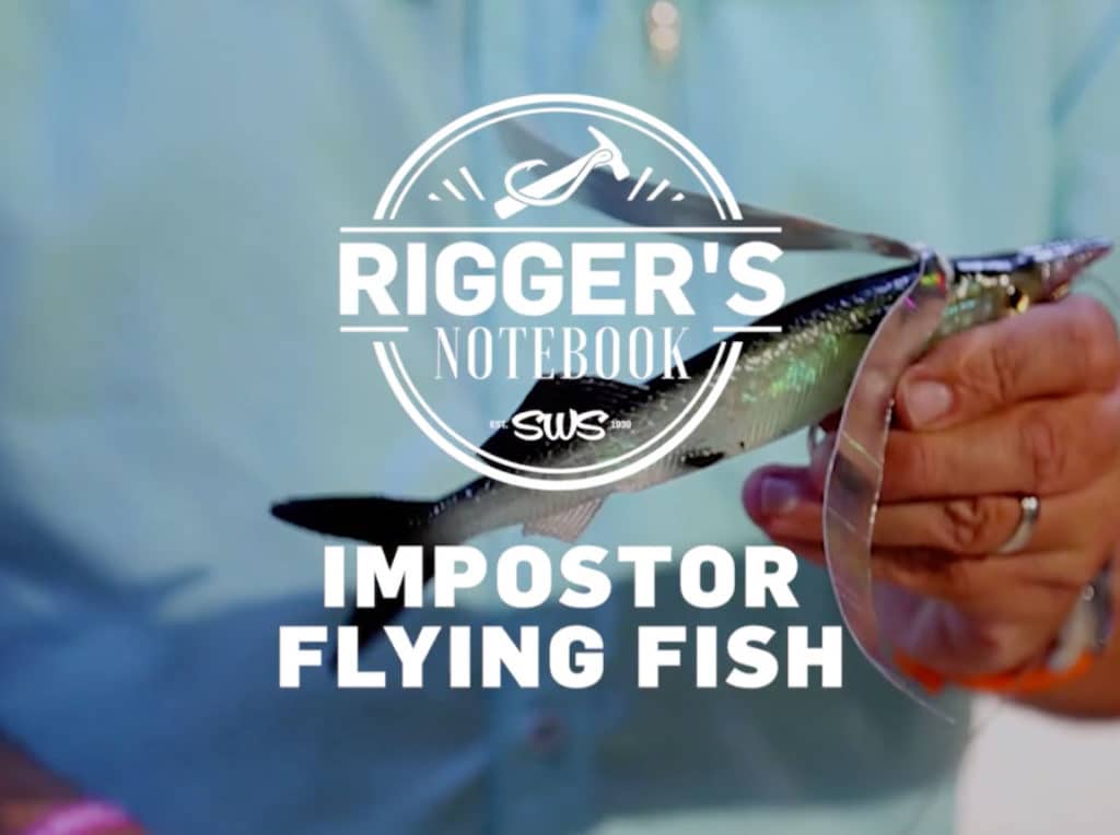 How to Turn a Ballyhoo into a Flying Fish