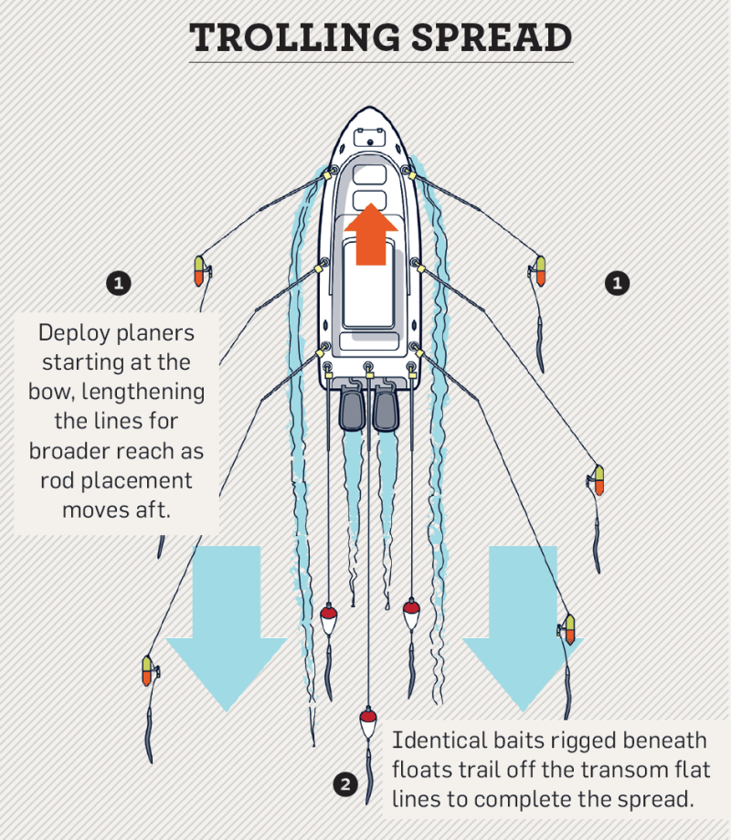 Trolling spread for catching striped bass