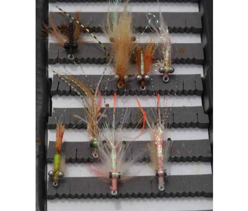 ascensionbay_flies1.jpg