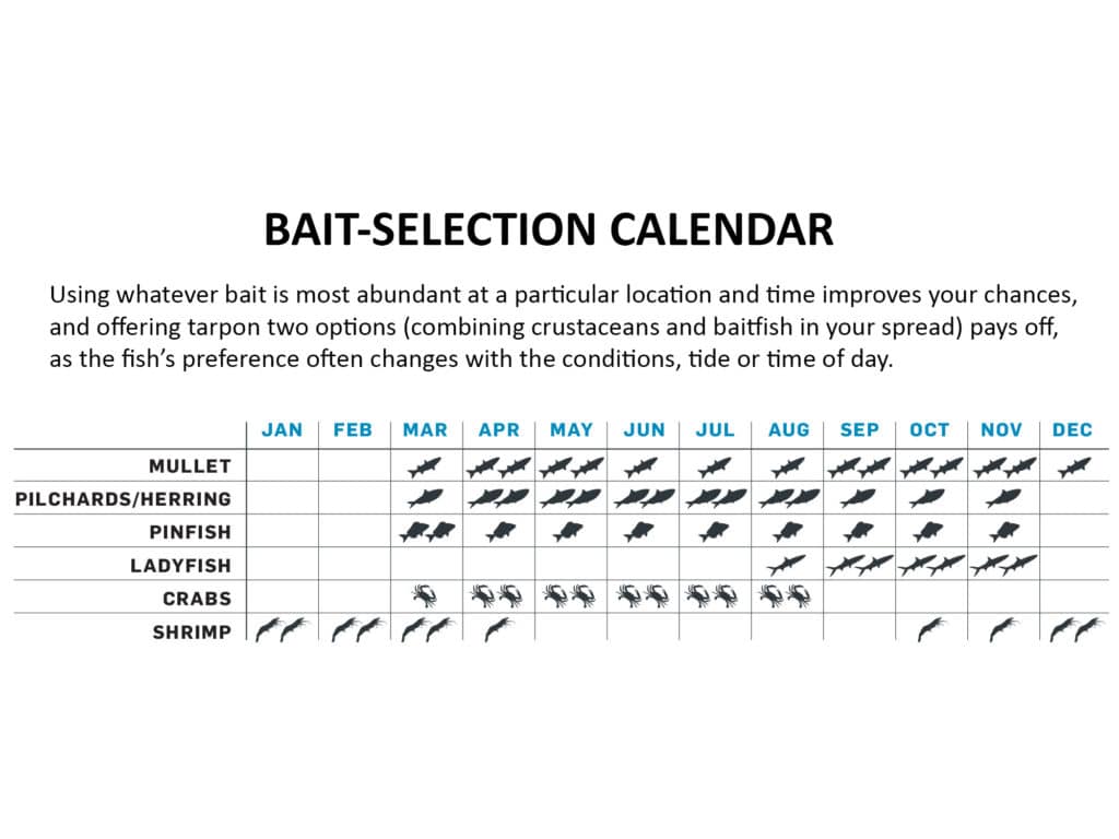 Different baitfish and crustaceans are most prevalent on certain months, so this bait-selection calendar shows the best live-bait options for tarpon throughout the year.