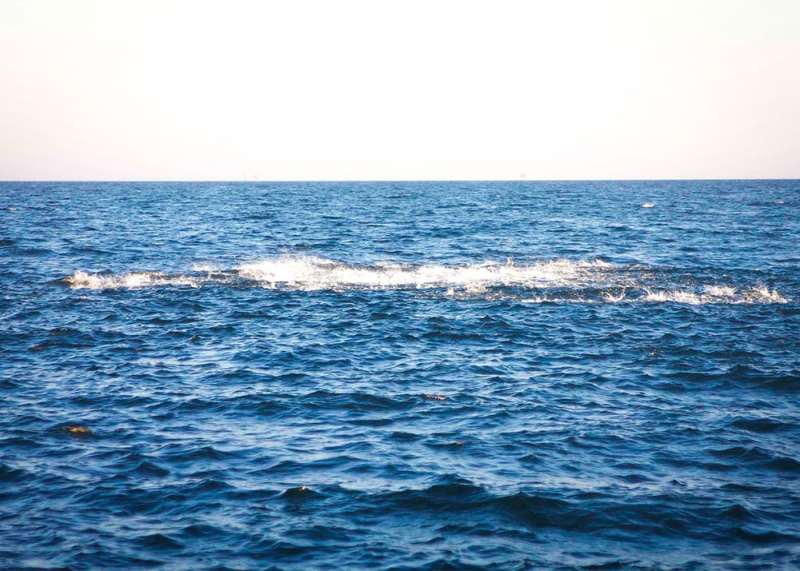 Sportfishing Quiz