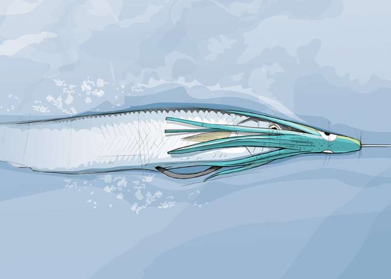 How to Rig Weedless Ballyhoo for Trolling