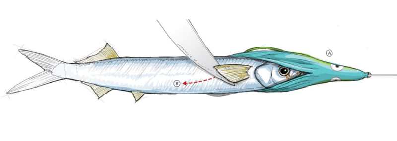 How to Rig Weedless Ballyhoo for Trolling