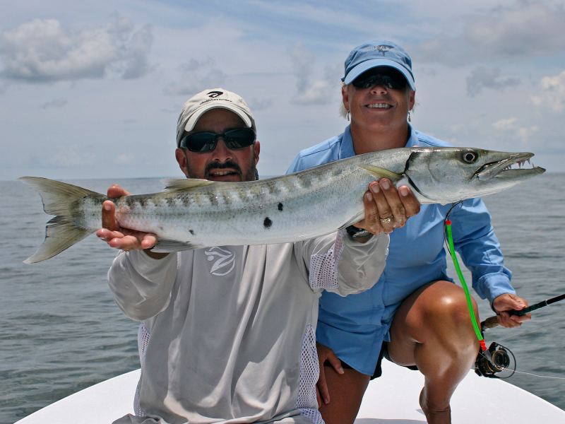 Tube lures are very effective on barracuda in shallow water.