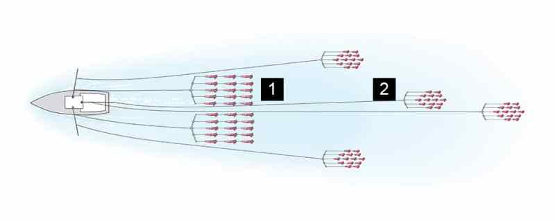 Squid Spreader Bars teaser