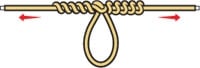 Dropper Loop