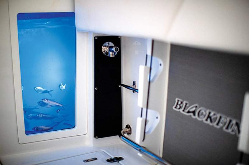 Blackfin 332CC freshwater washdown