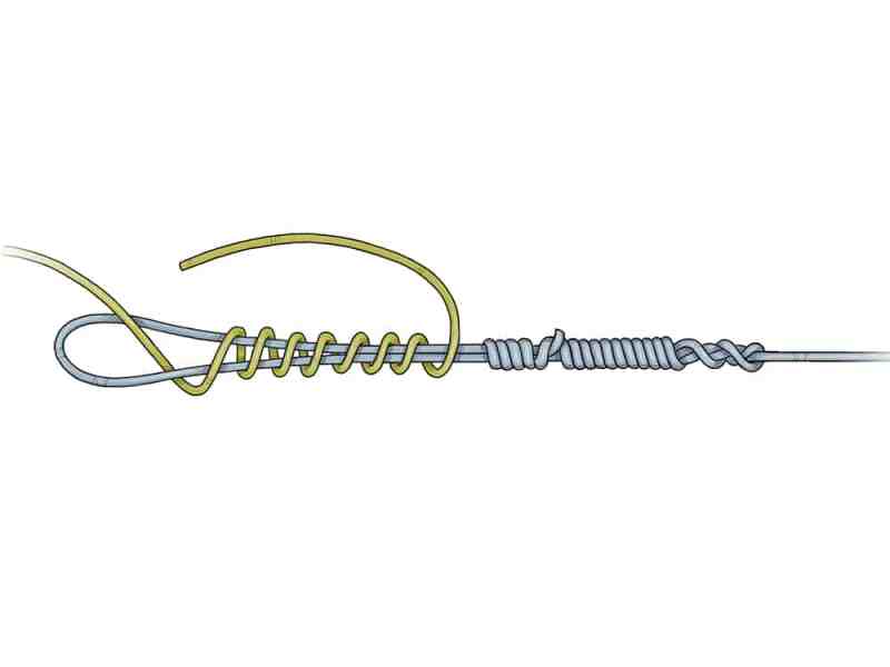 Bristol Knot