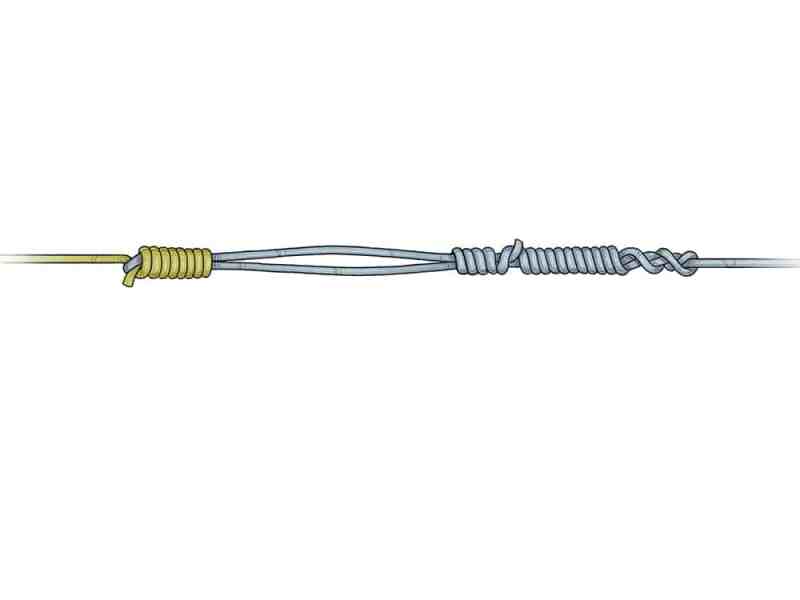 Bristol Knot