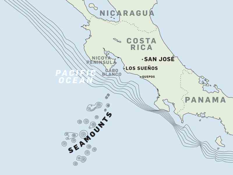 The seamounts off Los Sueños, Costa Rica hold unmatched marlin fishing