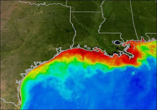 gulf dead zone gulf dead zone