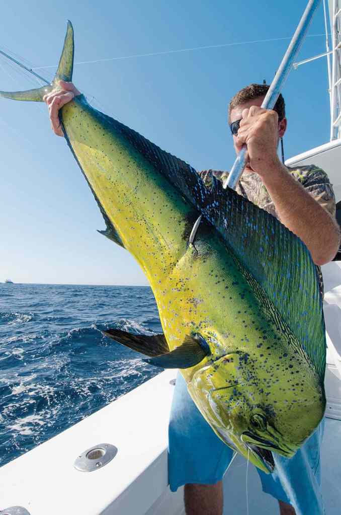 Offshore Fishing at Cape Hatteras