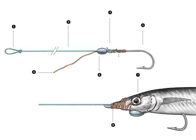 Naked Ballyhoo Trolling Rig