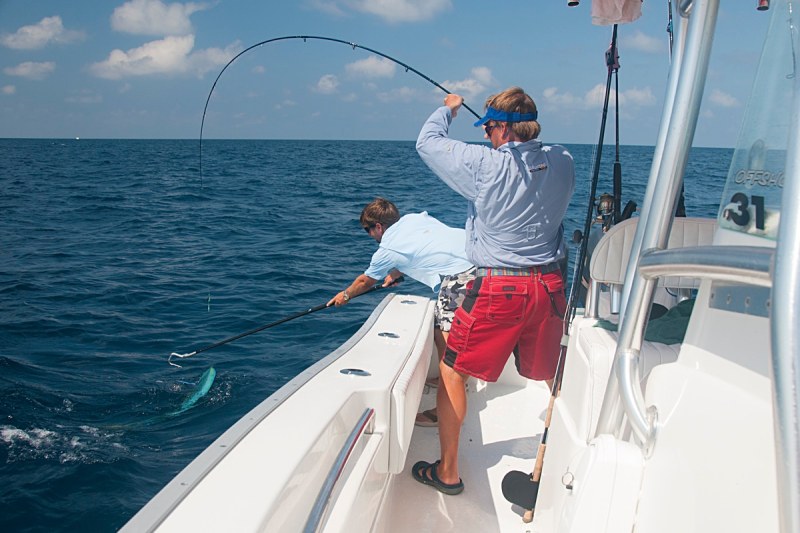 fly fishing for dolphin