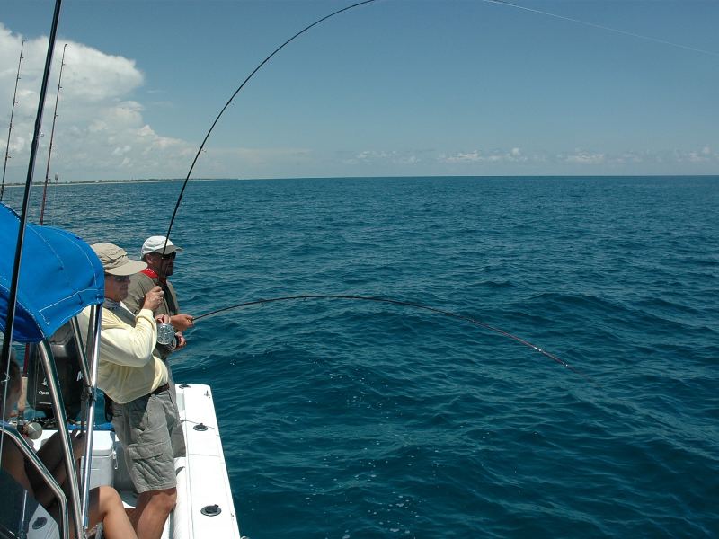 Offshore game fish often feed deep, and fast sinking lines are needed to get down to them.