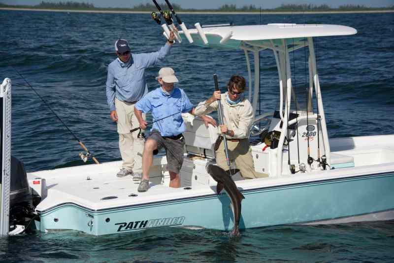 Sight-casting jigs to cobia or dropping them over wrecks pays off.