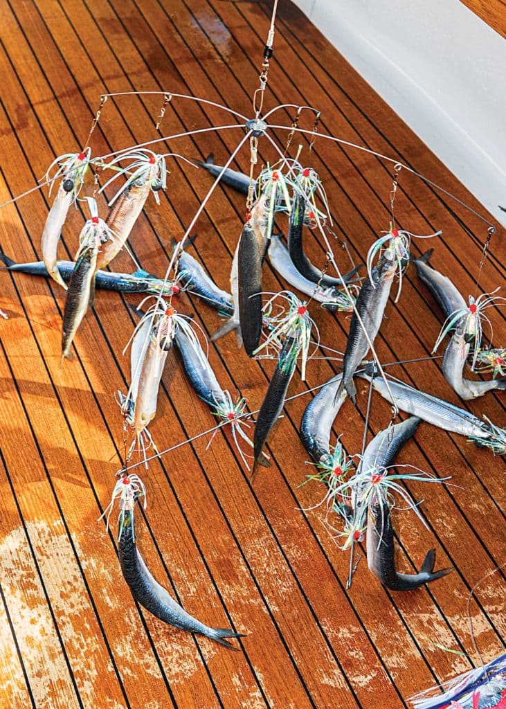 Dredge rigged with ballyhoo