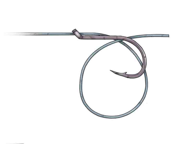 Snell Knot