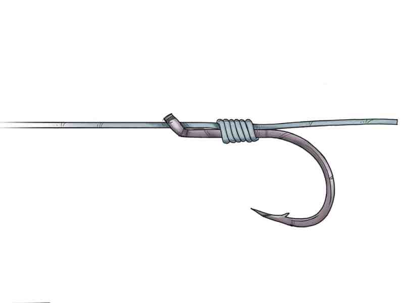 Snell Knot