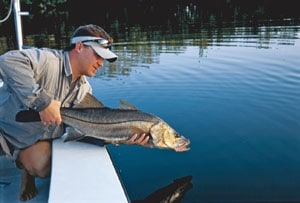 The /SWS/ Bait Encyclopedia