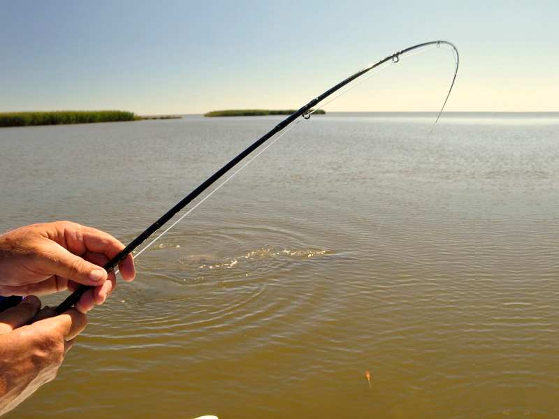 Fly rods from 6- to 9-weight are ideal for baby tarpon, just let the size of both the flies and the fish you’ll be targeting dictate the tackle selection.