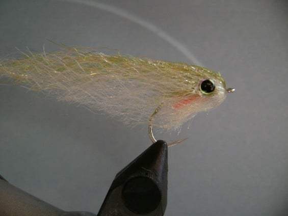 10kBaitfish.JPG