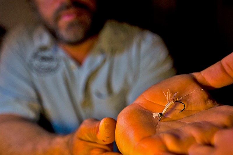 fly patterns for bonefish