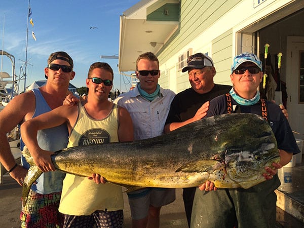 dolphin state record