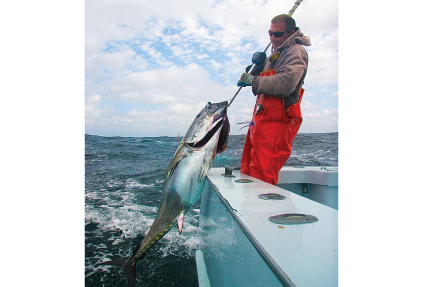 hatteras-tuna-boatside.jpg