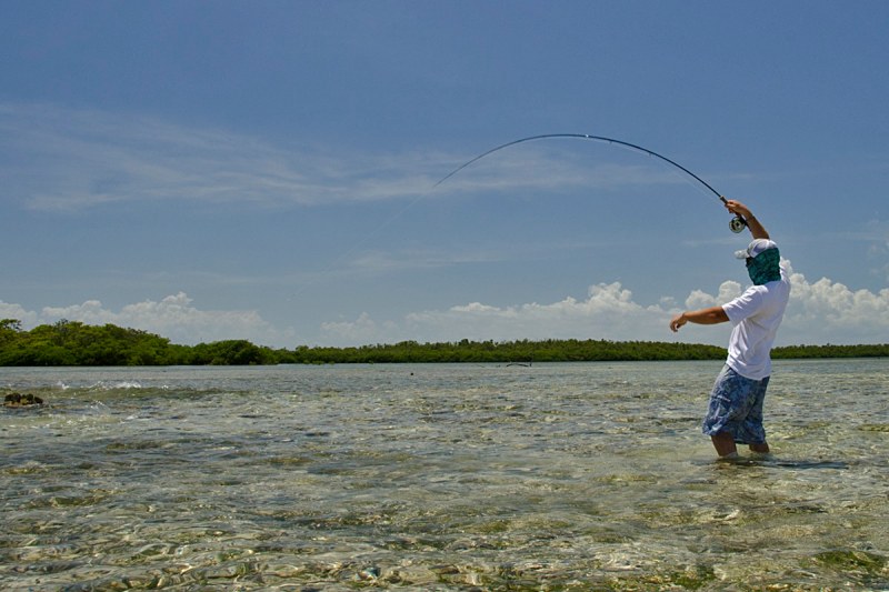 Bahamas flats water