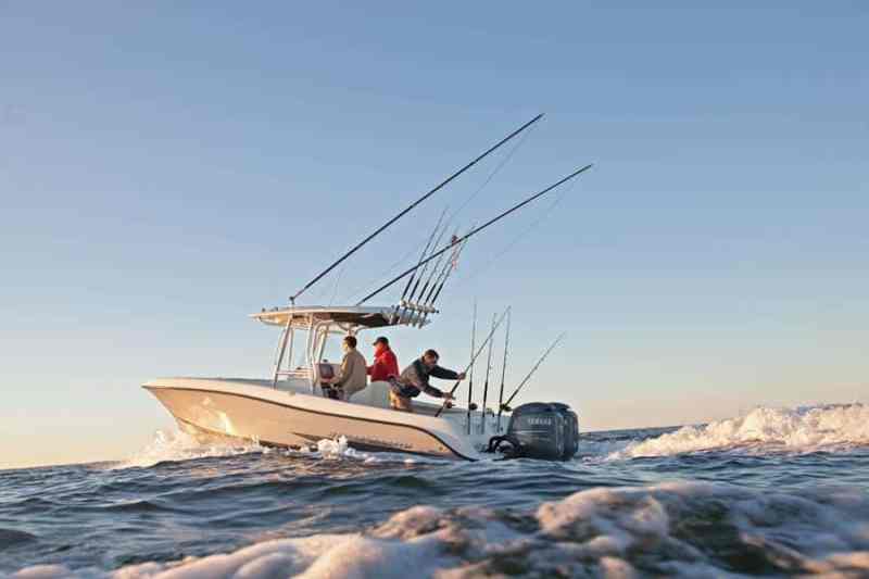 hydra-sports2500_03.jpg