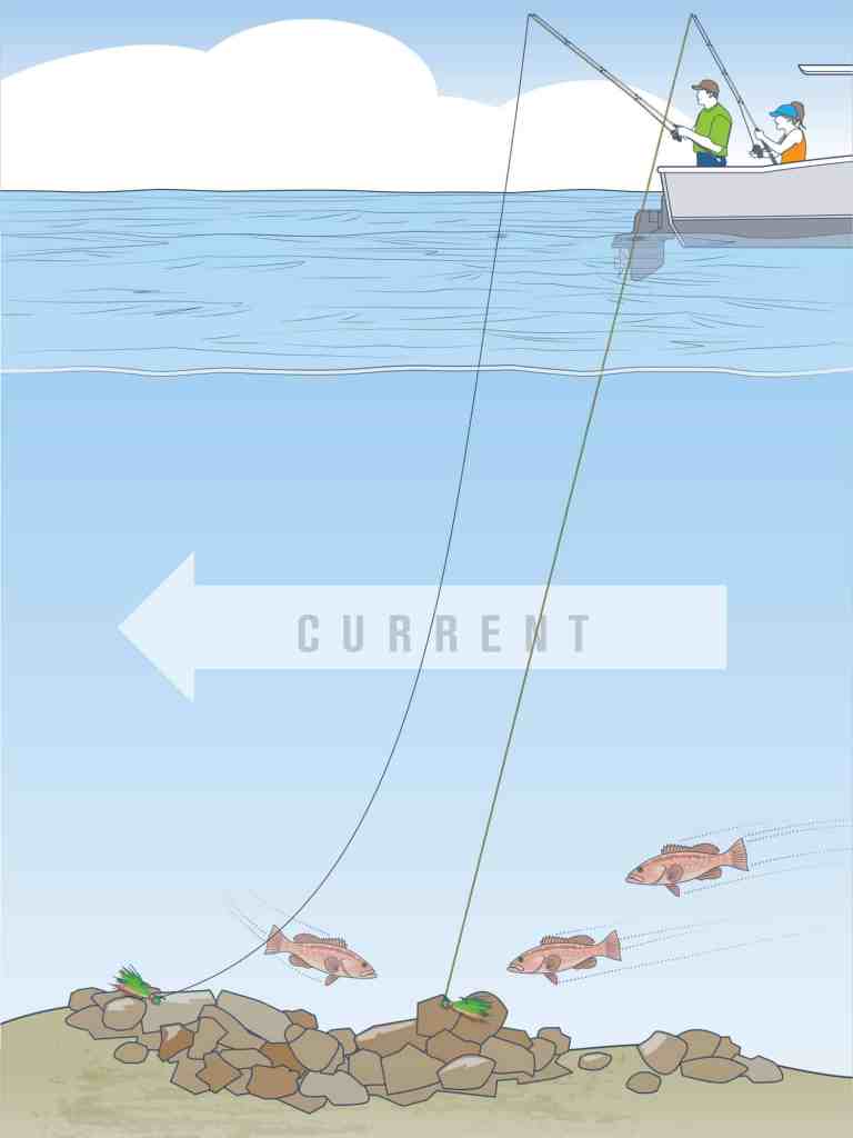 Bottomfishing illustration